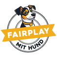 Hundefrisbee Spiel mit Hund im Park, Spaß und Bewegung für Hunde und Besitzer.