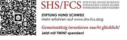 Hundespende bei Stiftung Hund Schweiz, Unterstützung für Tierschutz, Spendenaktion.