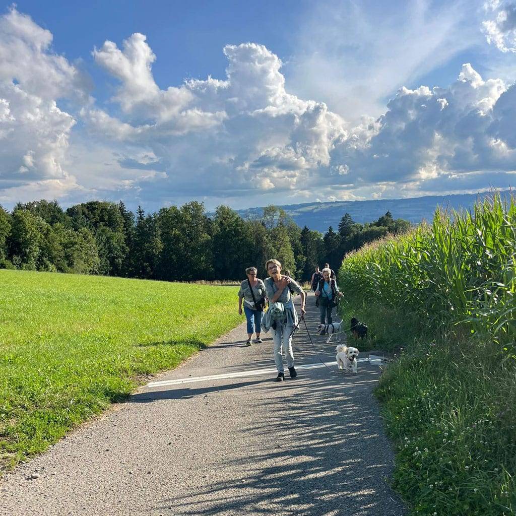 Wandergruppe mit Hunden auf einem Weg in der Natur, umgeben von grünen Feldern und Bäumen, bei schön.